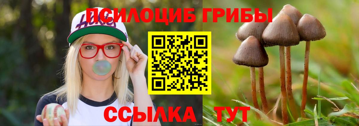 Псилоцибиновые грибы GOLDEN TEACHER Лесосибирск