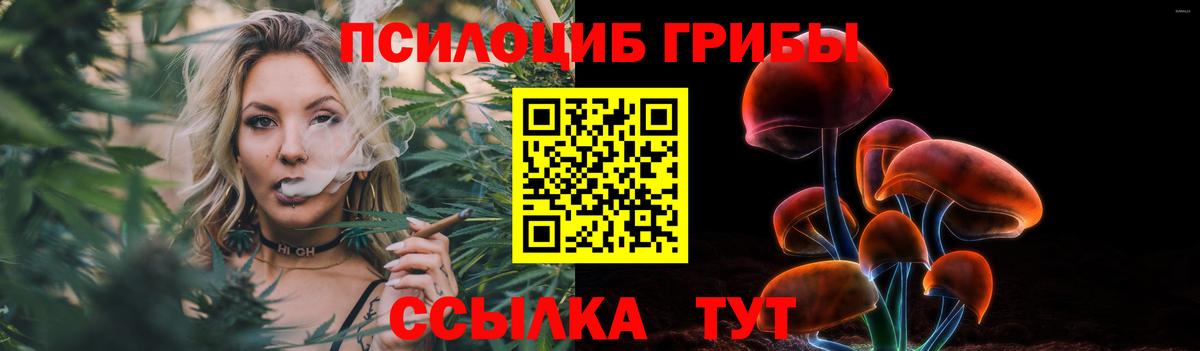 где купить наркоту  Галлюциногенные грибы ЛСД  Вход с VPN  Лесосибирск 