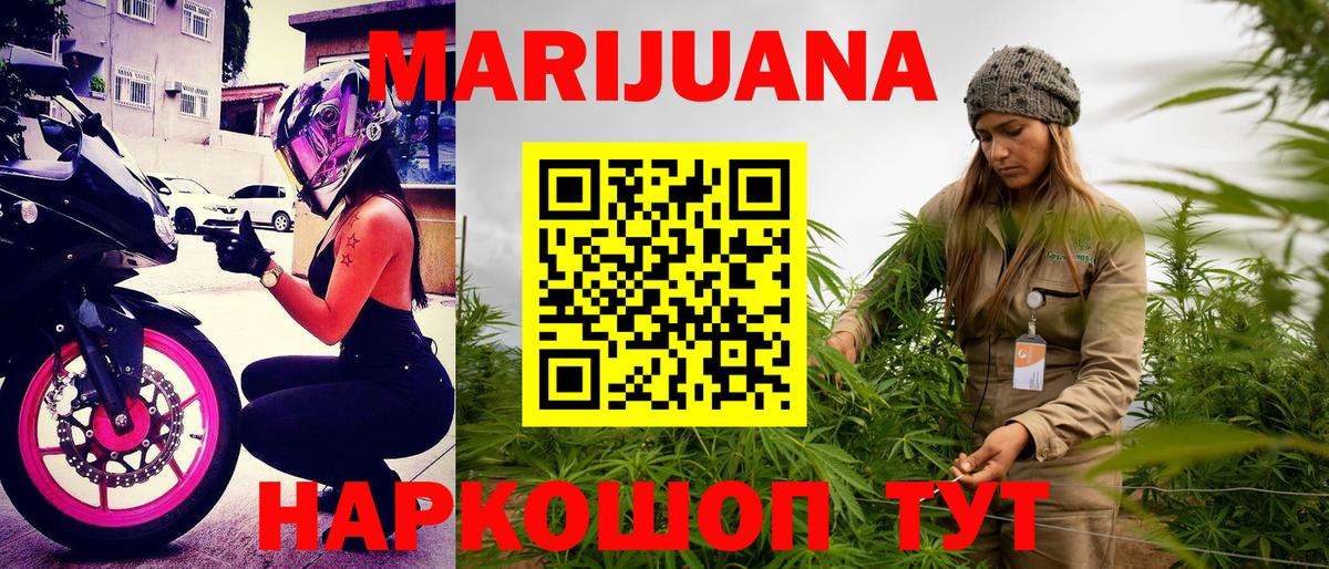 Бошки Шишки план Лесосибирск