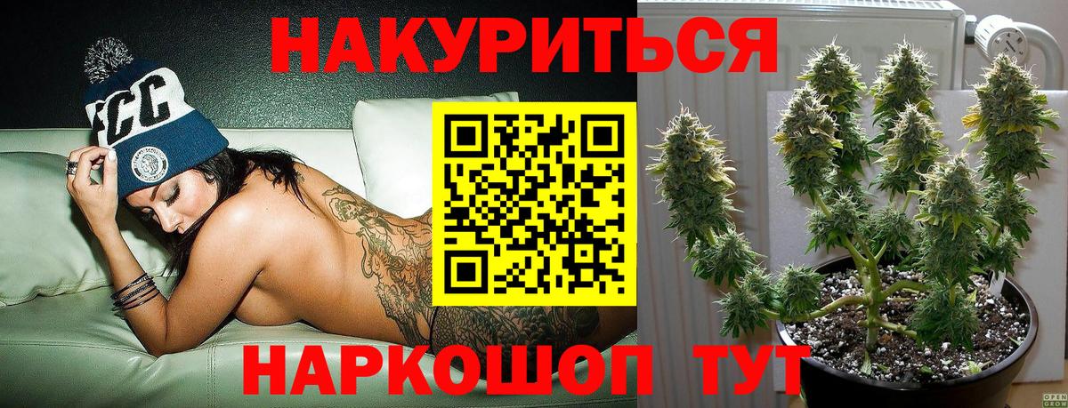 Шишки марихуана марихуана  Вход с VPN  Шишки марихуана планчик  Лесосибирск  Бошки Шишки LSD WEED  Конопля White Widow 